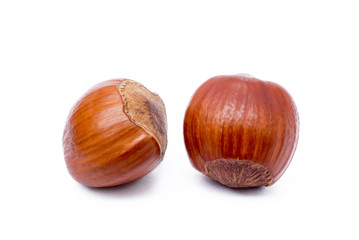 Group healty hazelnuts isolated on white background
