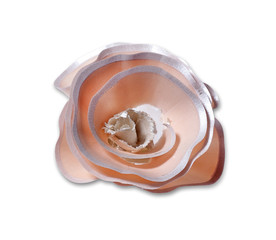 Cosmetic pencil shaving isolated on white 