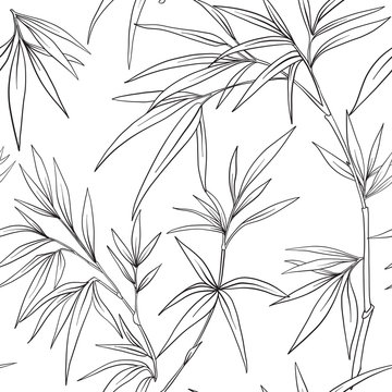 Seamless Pattern With Bamboo In Japanese Style. Outline Drawing 