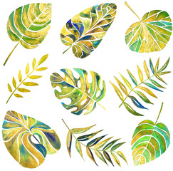 Obraz premium Set with different pearl tropical leaves on white background. Watercolor painting