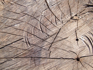 Wood Background