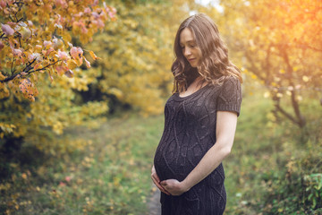 Obraz premium Portrait of pregnant woman belly in colorful autumn forest in September. Concept of pregnancy and the seasons