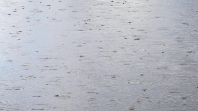 Middel Heavy Rain on Lake Amager F&aelig;lled - Amager, Copenhagen  explainer video background with copy space for text or image	