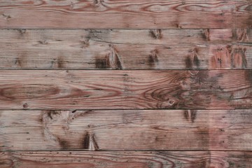 Obraz premium Natural wood wall texture