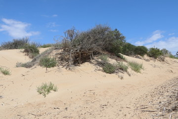 Dune di sabbia