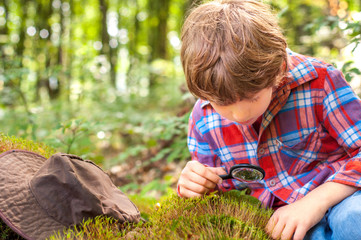 A boy looks under a magnifying glass in the forest