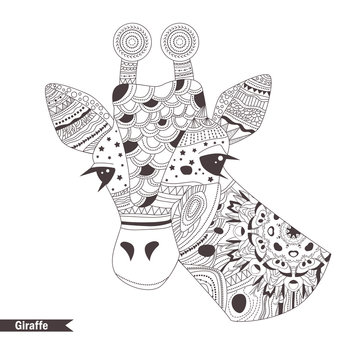Giraffe. Coloring book