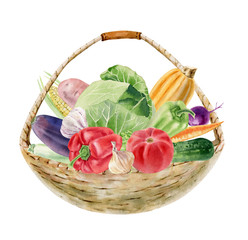 Handpainted watercolor clipart with fresh vegetables in basket - 172815401