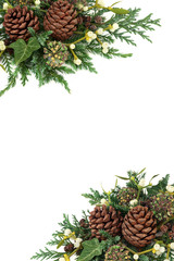 Decorative winter background border with mistletoe, juniper and cedar cypress leaf sprigs, ivy and...