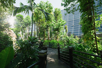 Fototapeta na wymiar The garden at Kuala Lumpur International Airports (KLIA) terminal in Malaysia