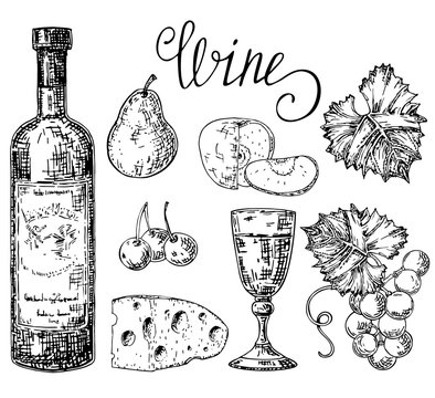 Vector ink hand drawn style white wine set