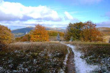 Panorama mountain autumn landscape. Bieszczady mountains © Jacek Jacobi