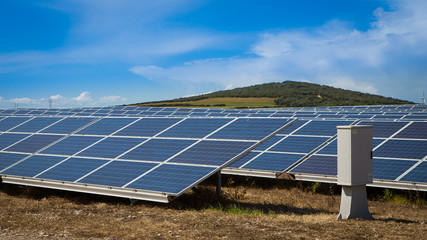 Obraz premium many solar panels to generate green renewable energy