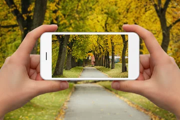 Fotobehang Woman take photo of autumn park by phone. © scharfsinn86