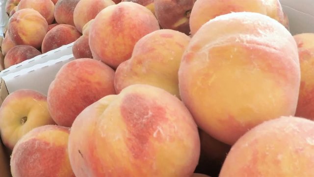 Slow motion. POV point of view - Organic peaches at the local Farmer's Market