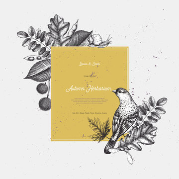 Vintage card design with bird. Hand drawn leaves and seeds illustration. Vector autumn template. Wedding invitation. 