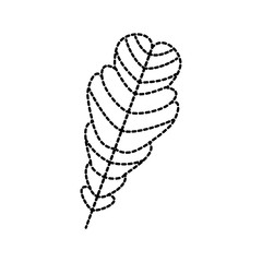 autumn leaf season natural foliage flora vector illustration