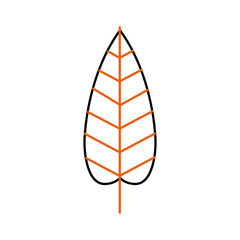 autumn leaf season natural foliage flora vector illustration