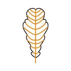 autumn leaf season natural foliage flora vector illustration