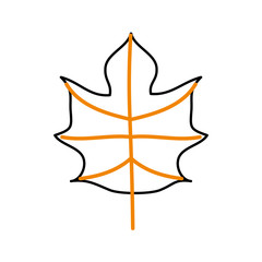 autumn leaf season natural foliage flora vector illustration