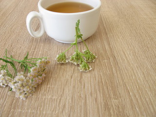 Kräutertee mit Schafgarbe