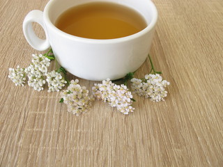 Kräutertee mit Schafgarbe