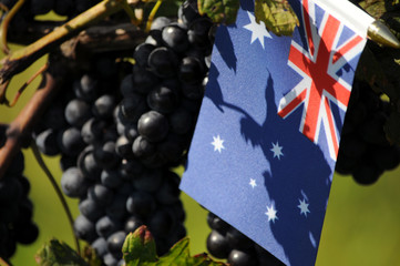Australian wine Viticoltura in Australia Viticulture en Australie  オーストラリアワイン Виноделие в Австралии Weinbau in Australien Vino  澳大利亞葡萄酒 Wina australijskie Wijnbouw in Australië Australiska viner  © Comugnero Silvana