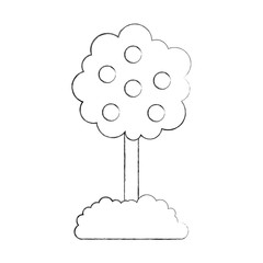 tree with fruit natural forest environment concept vector illustration