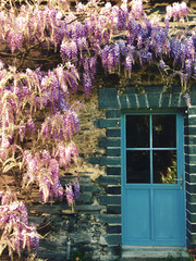 glycine nature campagne