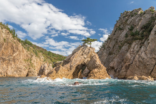 千貫松島