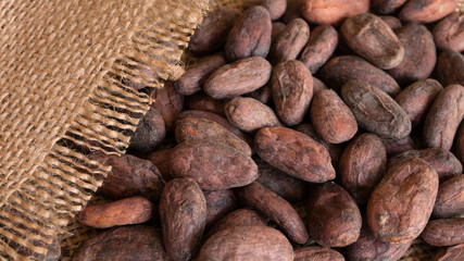 Cocoa beans in a jute bag