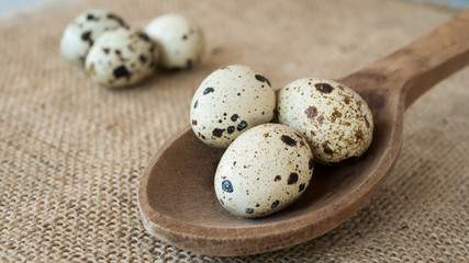 Obraz premium Quail eggs on a wooden spoon and background of burlap