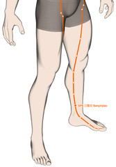 Drawing Acupuncture Point SP6 Sanyinjiao, 3D Illustration