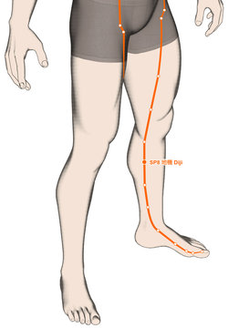 Drawing Acupuncture Point SP8 Diji, 3D Illustration