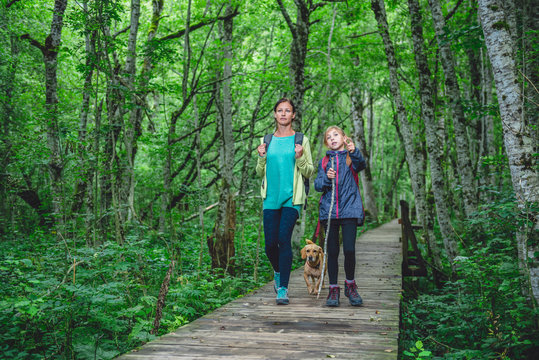 Mother and daughter with a dog hiking in the forest