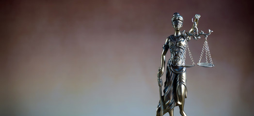 Legal Law Legislation Concept. 