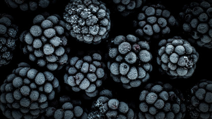 frozen blackberry, macro, top view
