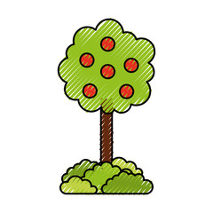 tree with fruit natural forest environment concept vector illustration
