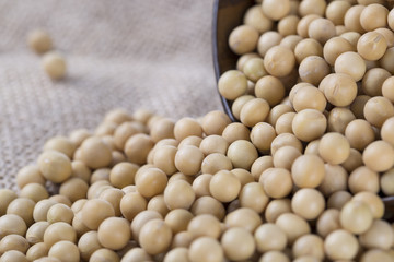 Closeup of soy beans and wooden bowl.