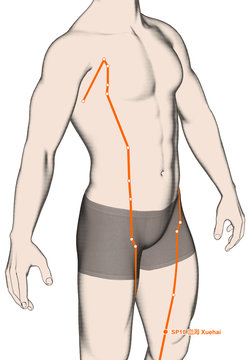 Drawing Acupuncture Point SP10 Xuehai, 3D Illustration