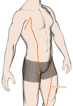Drawing Acupuncture Point SP11 Jimen, 3D Illustration