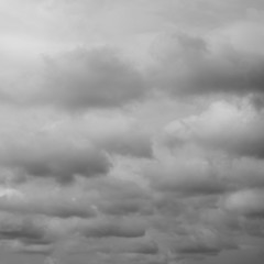 Clouds flying over horizon. Gray clouds, overcast sky background.