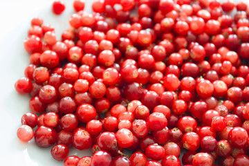 Raw fresh cowberry on white background. Fresh ripe cowberry berries on white.
