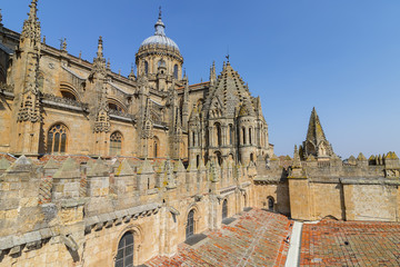 Fototapeta na wymiar View of upper side of Salamanca Old and New Cathedrals, Community of Castile and León, Spain. Declared a World Heritage Site in 1988
