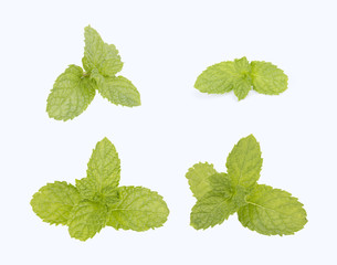 Naklejka na ściany i meble Fresh mint leaves collection isolated on white background.