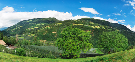 Fototapeta na wymiar Panorama of the Italian Alps