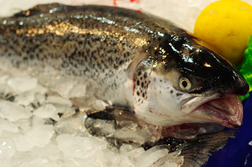 fish market