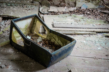 Pripyat and the area surrounding the exclusion zone of Chernobyl 30 years after the nuclear...