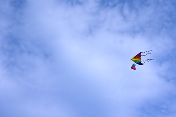 Kite flying on the blue sky