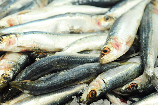 fish market